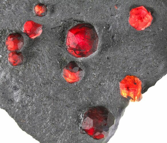 Plate of Ten Red Embers Garnets in Graphite - Massachusetts #148172